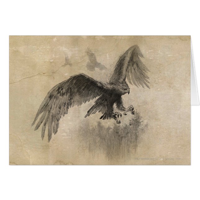 Great Eagles Sketch (Front Horizontal)