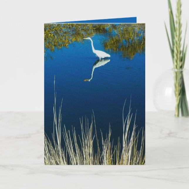 Great Egret #2 Greeting Card (Front)