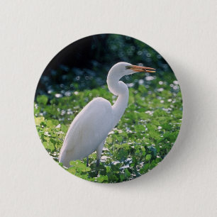 Great Egret 6 Cm Round Badge