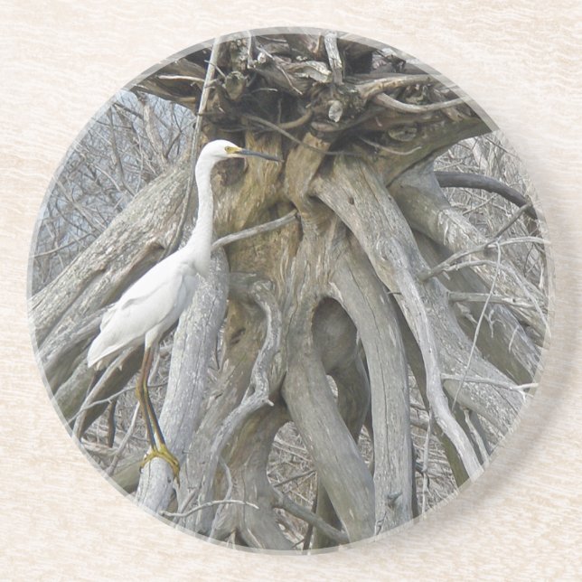 Great Egret (Ardea alba) OBX Outer Banks Coaster (Front)