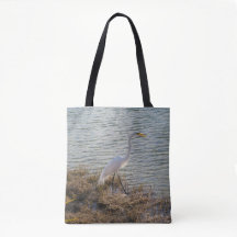 Great Egret by the Water - Florida Wildlife Photo