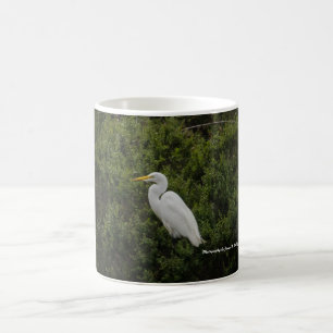 Great Egret Coffee Mug