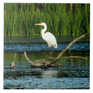 Great Egret Decorative Tile