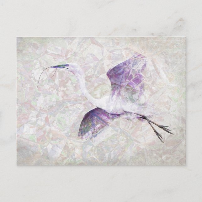 Great Egret Digital Art Postcard (Front)