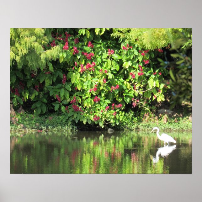 Great Egret Fishing - Beautiful Landscape Poster (Front)