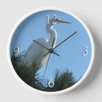 Great Egret in Sunny Florida