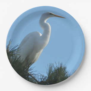 Great Egret in Sunny Florida Paper Plate