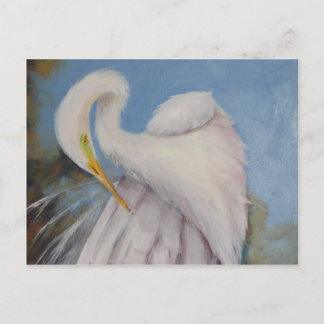 Great Egret Postcard