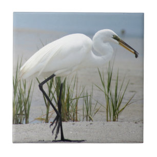 Great Egret Tile