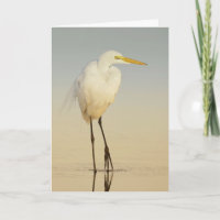 Great Egret Walking Greeting Card