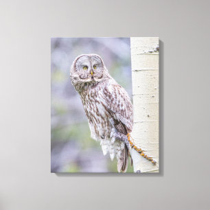 Great Grey Aspen Tree Branch Canvas Print