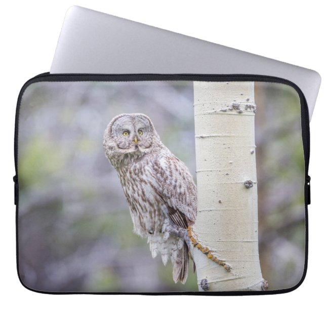 Great Grey Aspen Tree Branch Laptop Sleeve (Front)