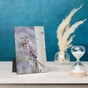 Great Grey Aspen Tree Branch Plaque