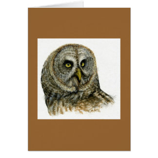 "Great Grey Owl"
