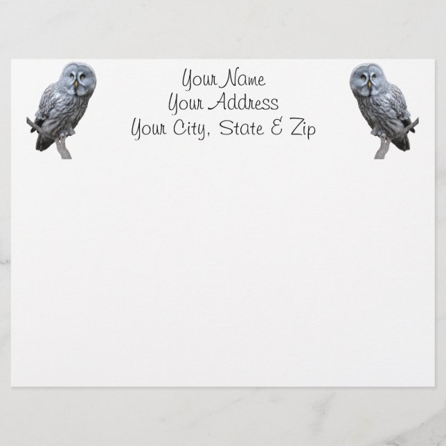 Great Grey Owl (Front)