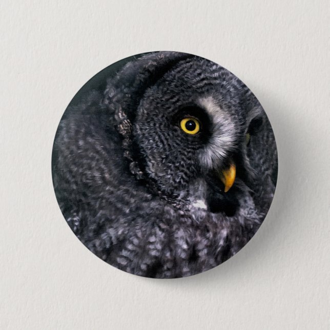 Great Grey Owl 6 Cm Round Badge (Front)