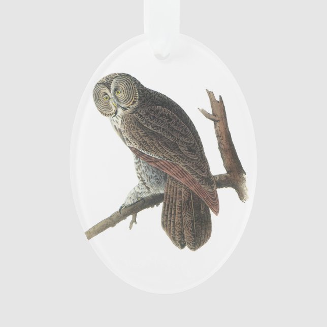Great Grey Owl by Audubon Ornament (Front)