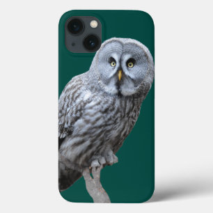 Great Grey Owl iPhone 13 Case