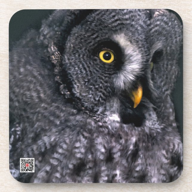 Great Grey Owl Coaster (Front)