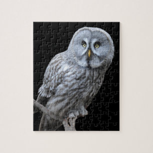 Great Grey Owl Jigsaw Puzzle