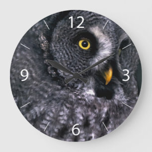 Great Grey Owl Large Clock