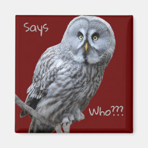 Great Grey Owl Magnet