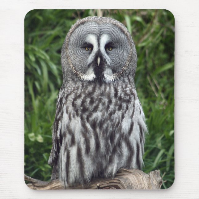 Great Grey Owl Mouse Pad (Front)