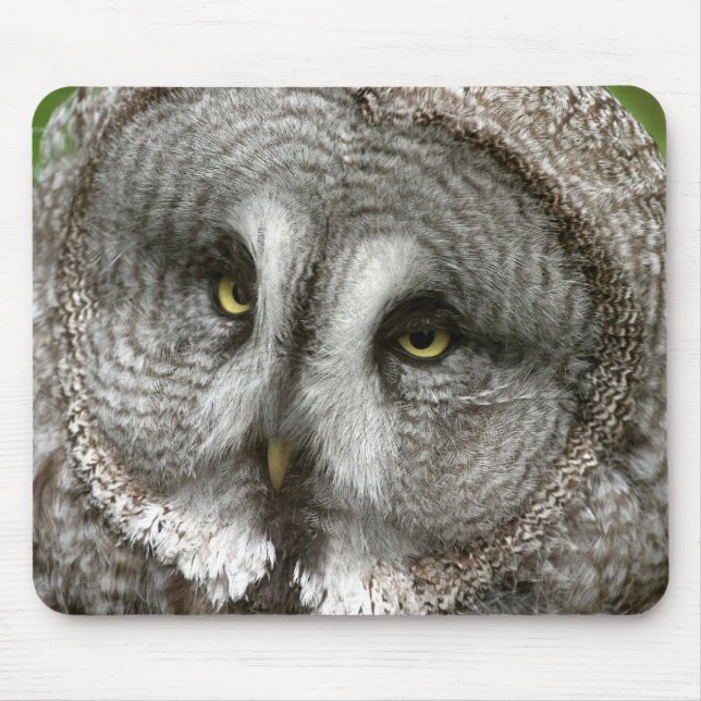 Great Grey Owl Mouse Pad (Front)
