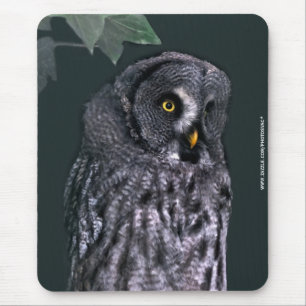 Great Grey Owl Mouse Pad