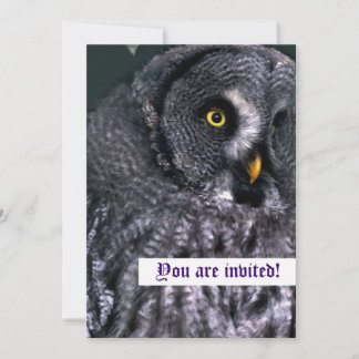 Great Grey Owl Personalised Invitations