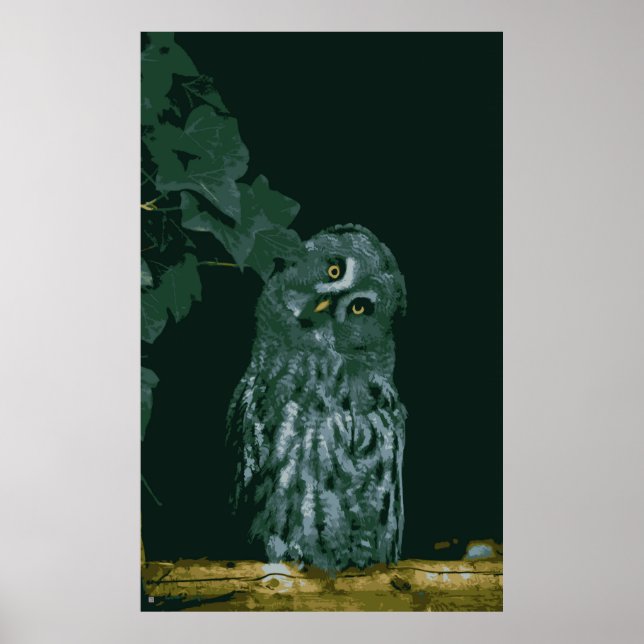 Great Grey Owl  Poster (Front)