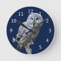 Great Grey Owl