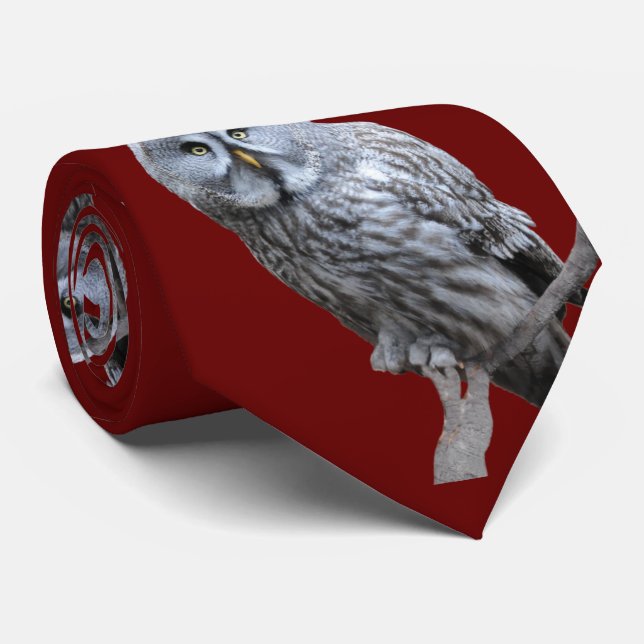 Great Grey Owl Tie (Rolled)