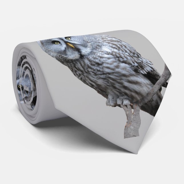 Great Grey Owl Tie (Rolled)