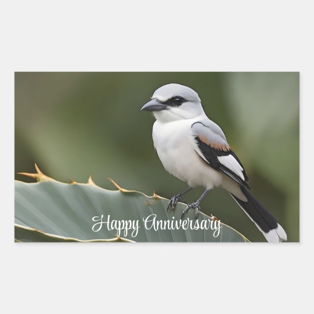 Great grey shirke perched on Agave leaf  Rectangular Sticker (Front)
