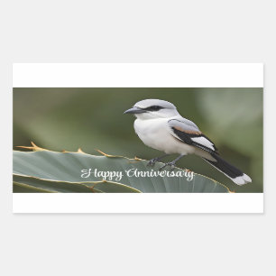 Great grey shirke perched on Agave leaf Rectangular Sticker