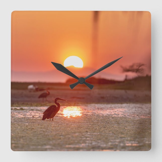 Great Heron Feeding At Sunset Square Wall Clock (Front)