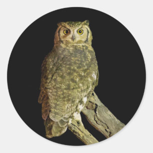 Great Horned Owl at Night Classic Round Sticker