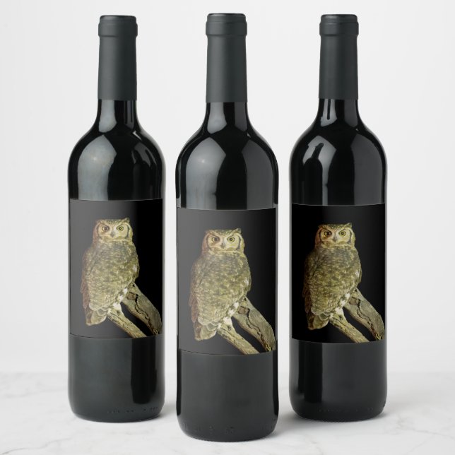 Great Horned Owl at Night Wine Label (Bottles)