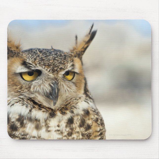 Great Horned Owl (Bubo virginianus), captive Mouse Pad (Front)