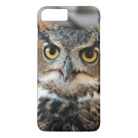 Great Horned Owl (Bubo virginianus)