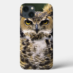 Great Horned Owl (Bubo virginianus), full body iPhone 13 Case