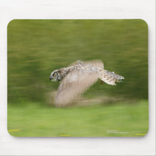 Great Horned Owl (Bubo virginianus) Mouse Pad