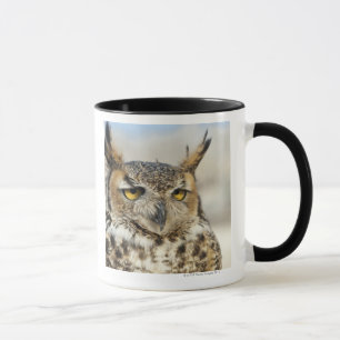 Great Horned Owl (Bubo virginianus) Mug