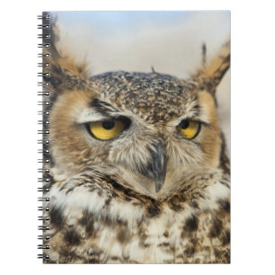 Great Horned Owl (Bubo virginianus) Spiral Notebook