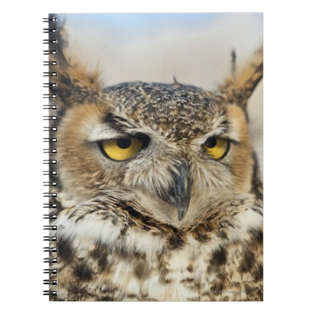 Great Horned Owl (Bubo virginianus) Spiral Notebook (Front)
