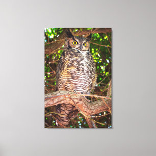 Great Horned Owl Canvas Print Forest Wildlife