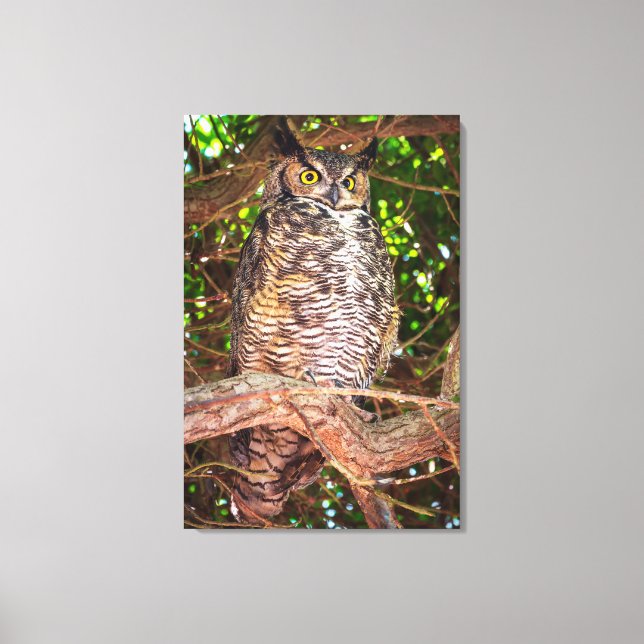 Great Horned Owl Canvas Print | Forest Wildlife (Front)