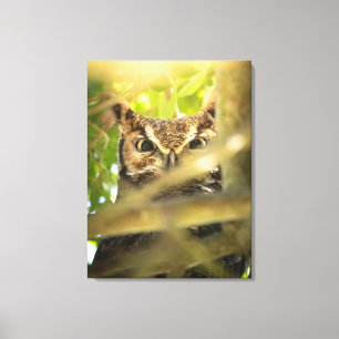 Great Horned Owl Canvas Print Hidden Forest Owl