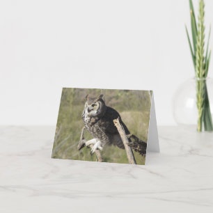 Great Horned Owl Card